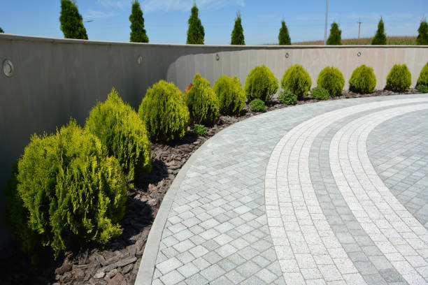 Best Decorative Driveway Pavers  in Oradell, NJ
